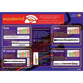Woodwind instruments educational poster