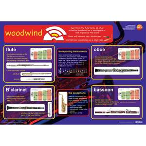 Woodwind instruments - A1 educational poster