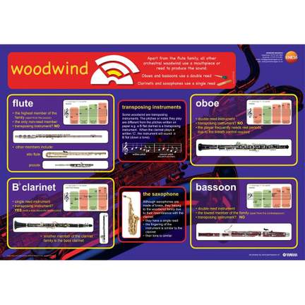 Woodwind instruments educational poster
