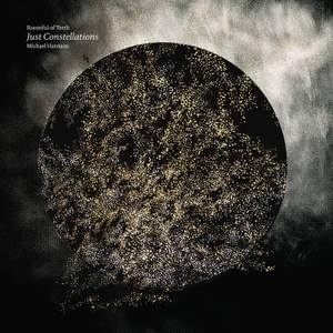 Michael Harrison: Just Constellations