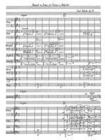 Bohnke, Emil: Violin Concerto Op. 11 Product Image