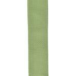 D'Addario Polypropylene Guitar Strap, Green Product Image