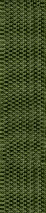 D'Addario Polypropylene Guitar Strap, Green Product Image