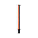 D'Addario Polypropylene Guitar Strap, Rainbow Product Image