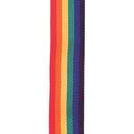 D'Addario Polypropylene Guitar Strap, Rainbow Product Image