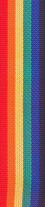 D'Addario Polypropylene Guitar Strap, Rainbow Product Image
