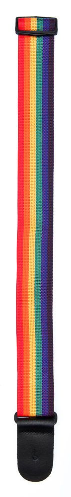 D'Addario Polypropylene Guitar Strap, Rainbow Product Image