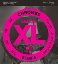 D'Addario XL Chromes