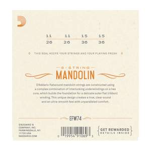 D'Addario EFW74 Flatwound Mandolin Strings, Stainless Steel, Medium, 11-36