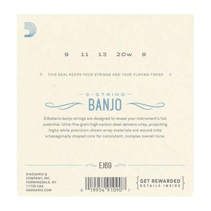 D'Addario EJ69 5-String Banjo Strings, Phosphor Bronze, Light, 9-20