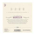 D'Addario EJ70 Phosphor Bronze Mandolin Strings, Ball End,  Medium/Light, 11-38 Product Image