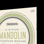D'Addario EJ75 Mandolin Strings, Phosphor Bronze, Medium/Heavy, 11.5-41 Product Image