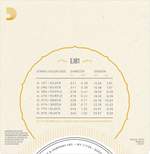 D'Addario EJ81 Irish Bouzouki Strings Product Image