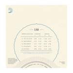 D'Addario EJ60 5-String Banjo Strings, Nickel, Light, 9-20 Product Image