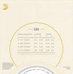 D'Addario EJ64 4-String Dulcimer Strings Product Image