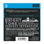D'Addario: EXL Nickel Product Image