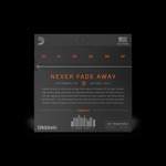 D'Addario XT 80/20 Bronze Product Image