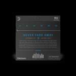 D'Addario XT 80/20 Bronze Product Image