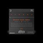 D'Addario XT Phosphor Bronze Product Image