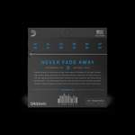 D'Addario XT Phosphor Bronze Product Image