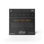 D'Addario: XT Product Image