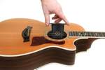 D'Addario Acoustic Guitar Humidifier Product Image