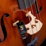 D'Addario Eclipse Cello/Bass Tuner, Black Product Image