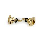 D'Addario Elliptical End Pins, Gold Product Image