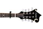 D'Addario Banjo/Mandolin Capo Pro Product Image