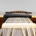 D'Addario Pro Plus Capo, Black Product Image
