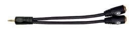 D'Addario 1/8 Inch Male Stereo to Dual 1/8 Inch Female Stereo Adaptor