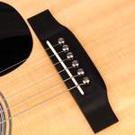 D'Addario Titanium Bridge Pins Product Image