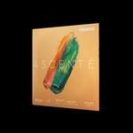 D'Addario Ascenté Viola G String, Medium Scale, Medium Tension Product Image