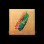 D'Addario Ascenté Viola G String, Medium Scale, Medium Tension Product Image