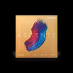 D'Addario Ascenté Violin E String, 1/4 Scale, Medium Tension Product Image