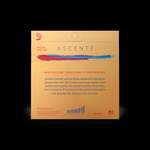 D'Addario Ascenté Violin E String, 1/4 Scale, Medium Tension Product Image