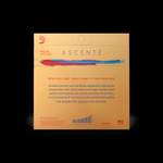D'Addario Ascenté Violin E String, 1/8 Scale, Medium Tension Product Image