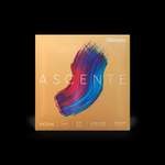D'Addario Ascenté Violin E String, 3/4 Scale, Medium Tension Product Image