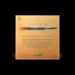 D'Addario Ascenté Viola C String, Long Scale, Medium Tension Product Image
