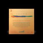 D'Addario Ascenté Viola C String, Extra-Short Scale, Medium Tension Product Image