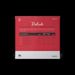 D'Addario Prelude Cello String Set, 1/2 Scale, Medium Tension Product Image