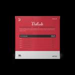 D'Addario Prelude Cello String Set, 4/4 Scale, Medium Tension Product Image