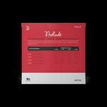 D'Addario Prelude Cello Single G String, 1/4 Scale, Medium Tension Product Image