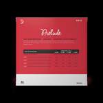 D'Addario Prelude Bass Single E String, 1/2 Scale, Medium Tension Product Image