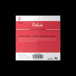 D'Addario Prelude Violin Single G String, 3/4 Scale, Medium Tension Product Image