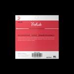 D'Addario Prelude Violin Single E String, 3/4 Scale, Medium Tension Product Image