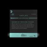 D'Addario Kaplan Forza Viola Single A String, Long Scale, Light Tension Product Image