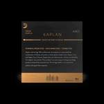 D'Addario Kaplan Amo Viola C String, Long Scale, Heavy Tension Product Image