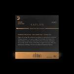 D'Addario Kaplan Amo Violin String Set, 4/4 Scale, Medium Tension Product Image