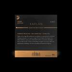 D'Addario Kaplan Amo Violin E String, 4/4 Scale, Heavy Tension Product Image